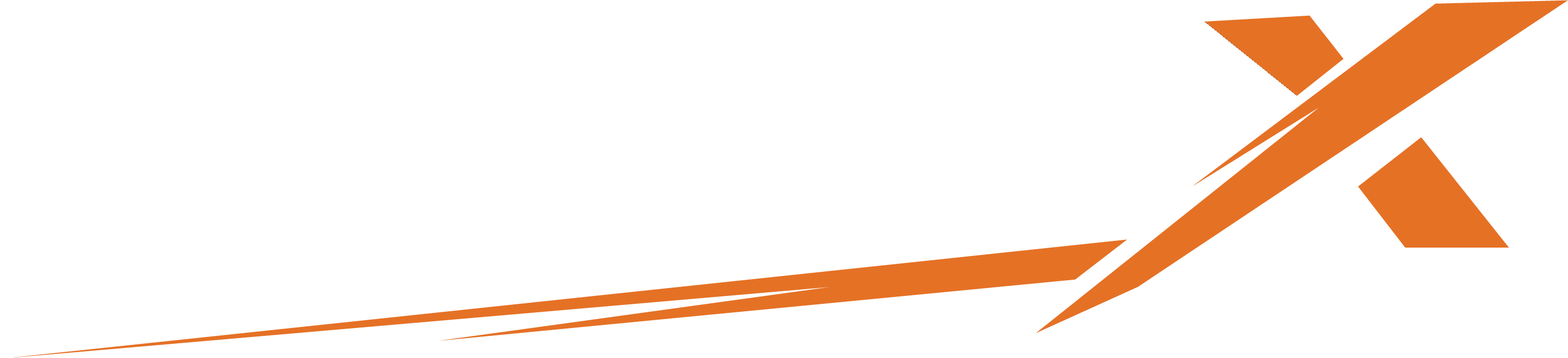 RAADIX
